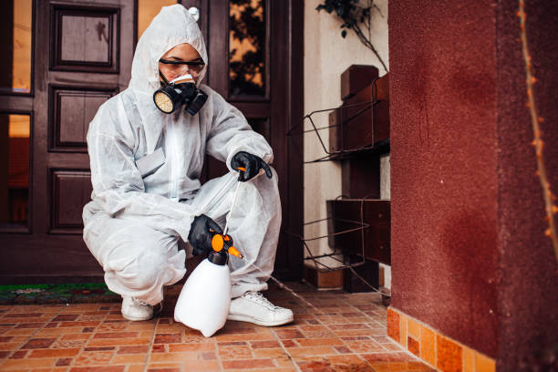 Reliable Bed Bug Control contractor in Seabrook, SC by Nex Pest Control